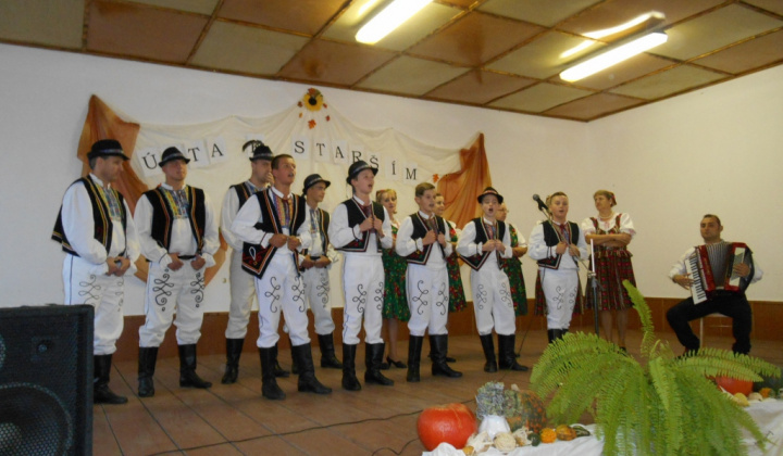 Vystúpenia folklórneho súboru Brezina