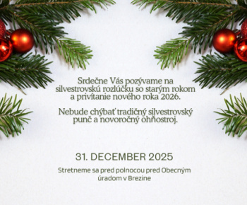 Aktuality / Silvestrovský punč - foto