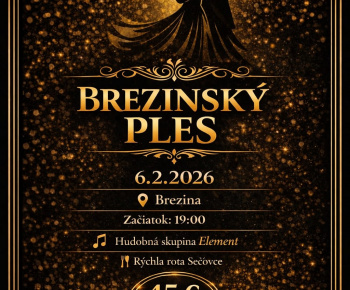 Aktuality / Pozvánka na ples - foto