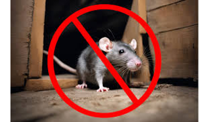 Výzva na výkon jarnej celoplošnej deratizácie