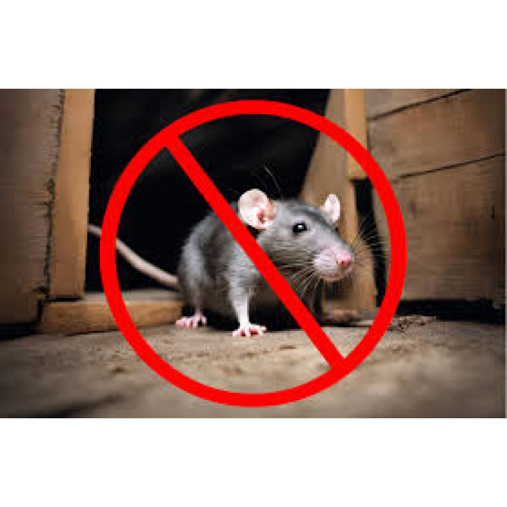 Výzva na výkon jarnej celoplošnej deratizácie